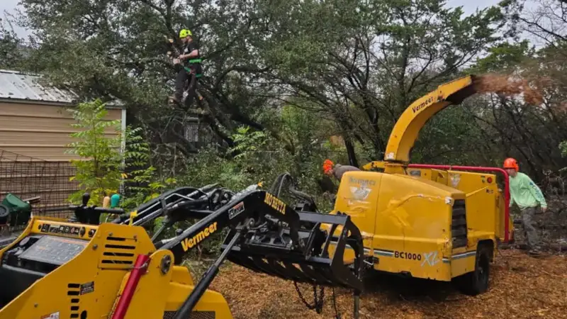 Brush Clearing in Temple, Texas